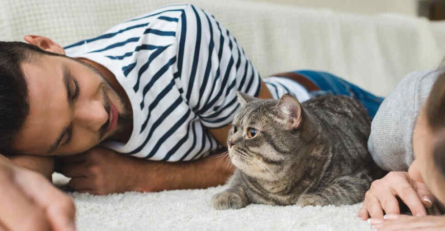 Why Who Keeps The Family Pets Can Be As Contentious A Divorce Issue As Arrangements For The Children